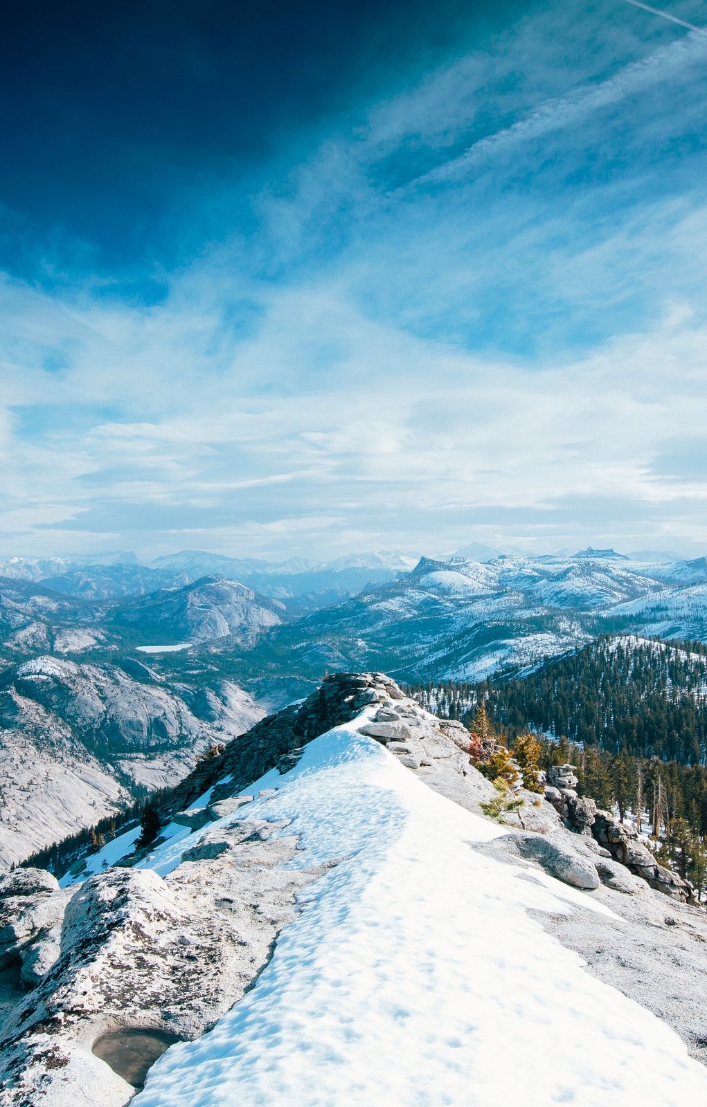 Белый И Пушистый