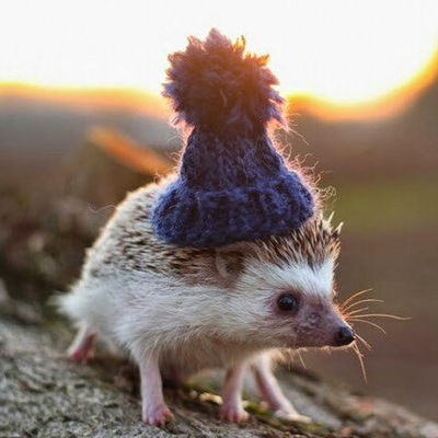 Алина Бондаренко