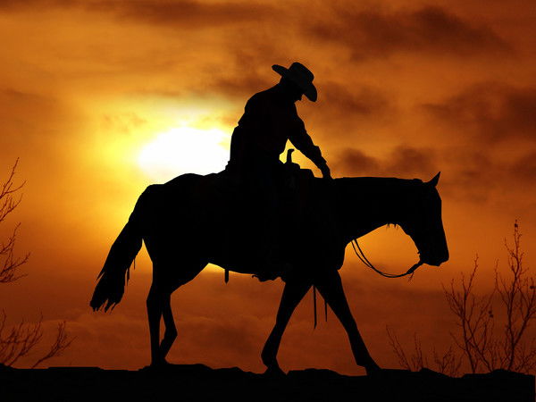 Рома Володарцев