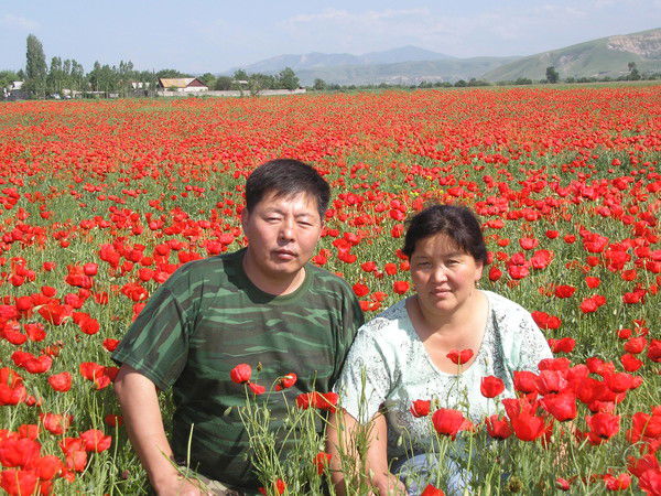 Арстанбек Арыков