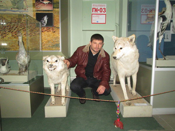 Владимир Михеев