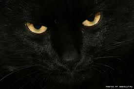 Сергей Бессонов