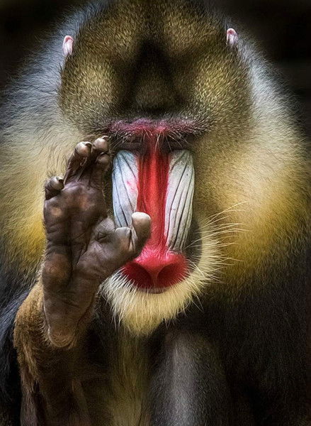 Сергей Коржов