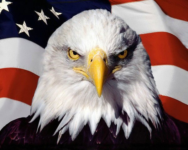 Барак Wrestling