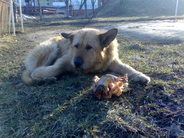 Дмитрий Тагунов