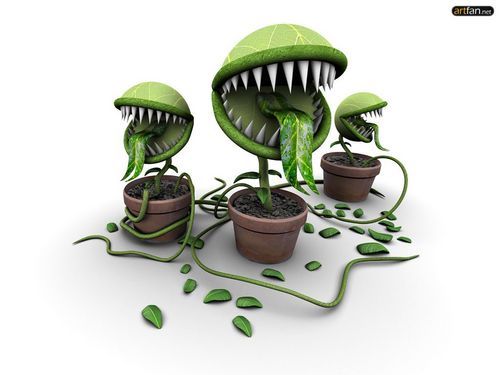 Андрей Губанов