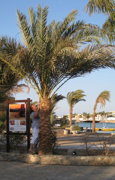 Виолетта Шевченко