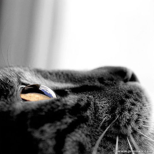 Татьяна Локаткина