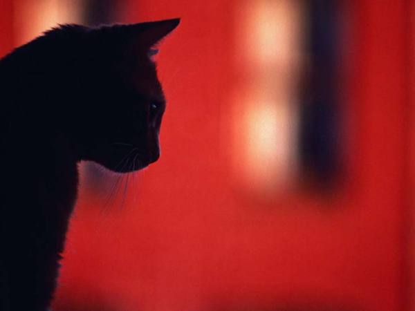 Екатерина Суровец