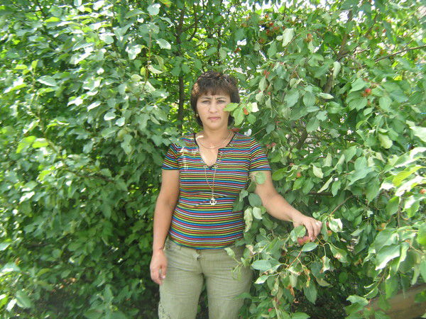 Алима Бермухамедова