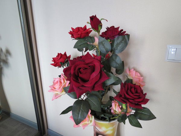 И И В Дранишниковы