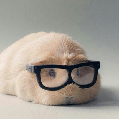 Анна Семыкина