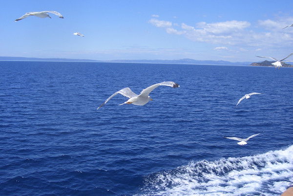 Танечка Солнышко