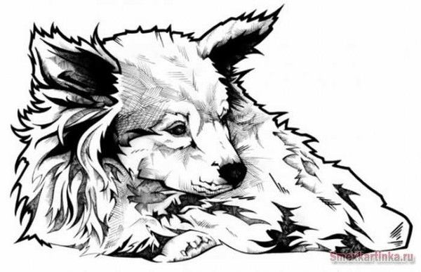 Юрий Быченко