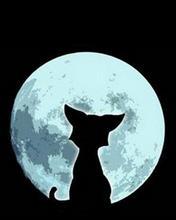 Антонина Гончарова