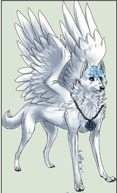 Елизавета Волкова