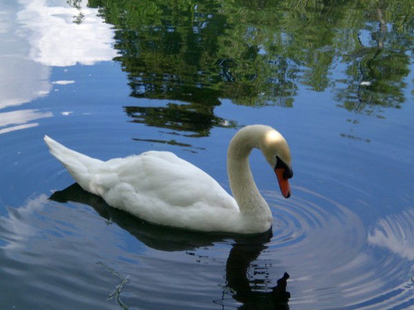 Ольга Лунива