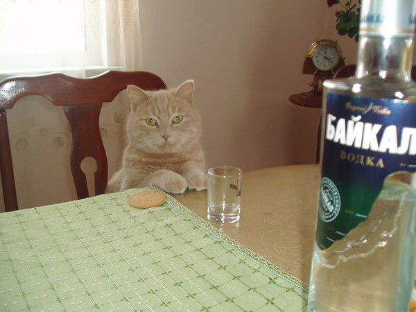 Повзык Сергей