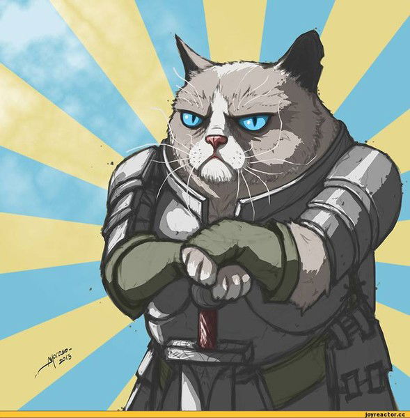 Капитан Непруха