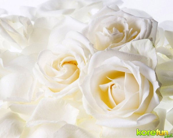 Bagila ********************