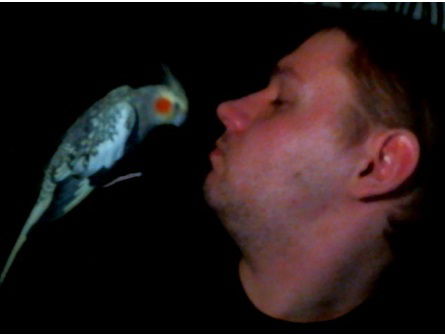 Андрей Липлянин