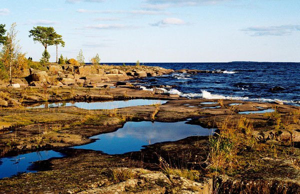 Саша Андреев