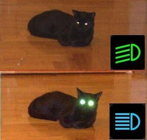 Михаил Павлов