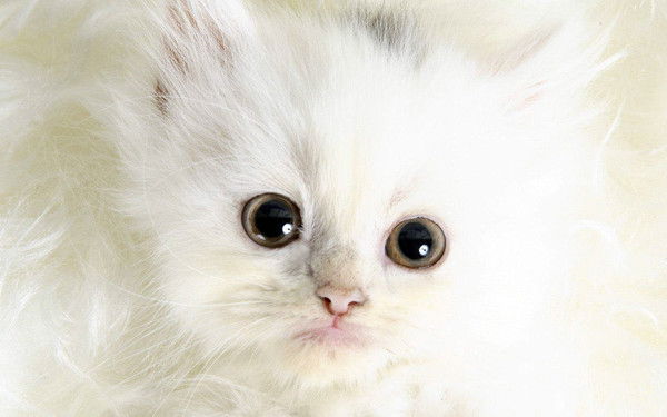 Аня Зайцева