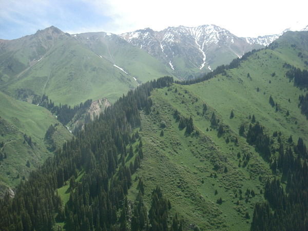 Толеукат Касенова