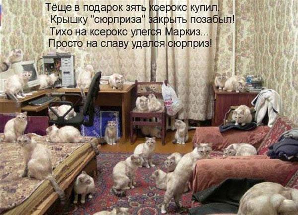 Виталий Сагидхаджиев