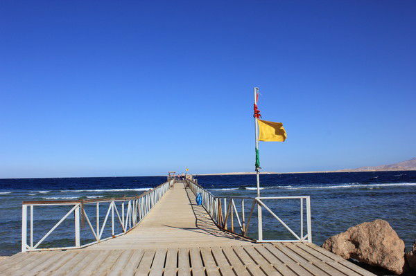 Анна Атанова