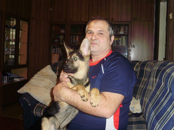 Николай Кокшаров