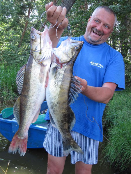 Николай Лазутенков