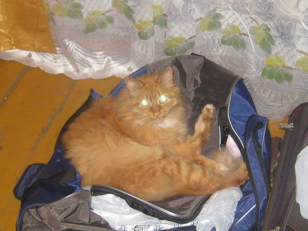 Гришина Римма