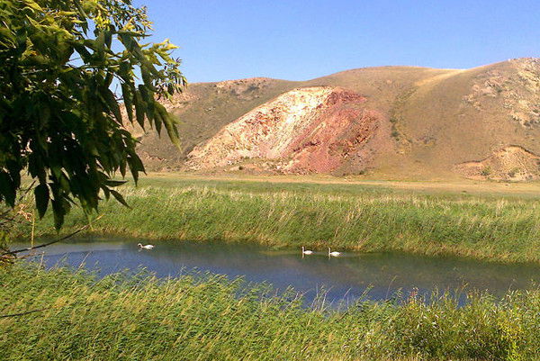 Гкп На Пхв "аксу"