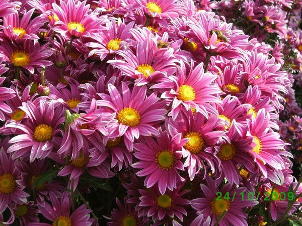 Наталья Загорная