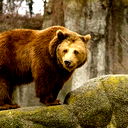 Владимир Андрианов