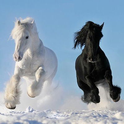 Николай Колобков