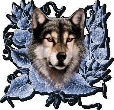 Роман Чайка