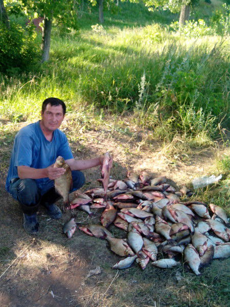 Дима Стрижов