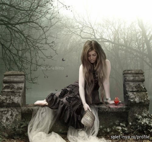 ღ♥Vailet An♥ღ