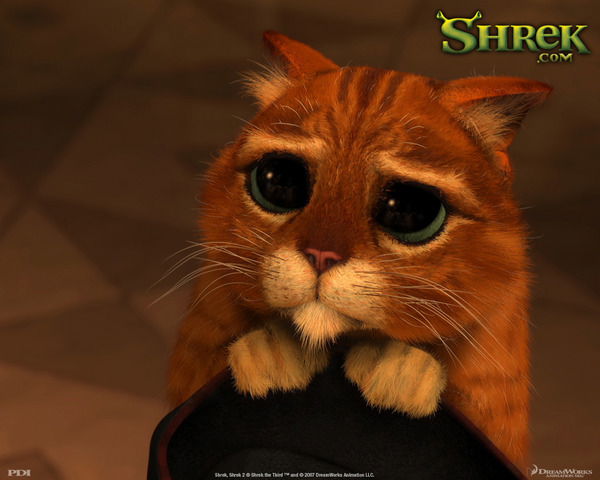 Натали Задунайская