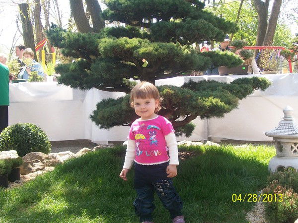 Анна Сердюк