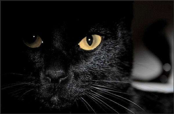 Наталия Минеева