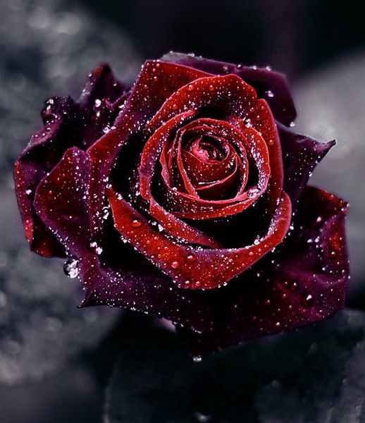 Евгения Третьякова