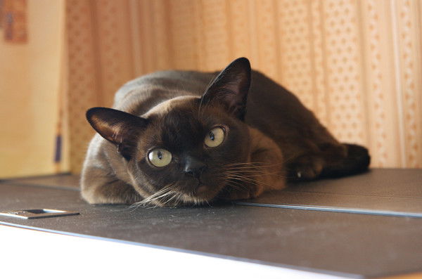 Айдар Алтынбаев