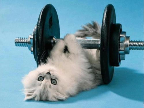 Евгений Попета