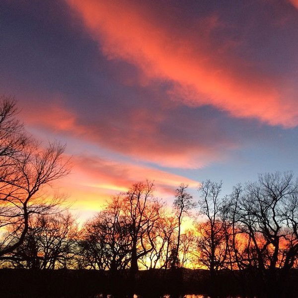 Катерина Зарецкая.