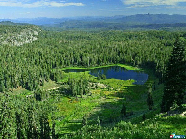 Фируза Рахимова