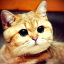 Даниил Неклюдов